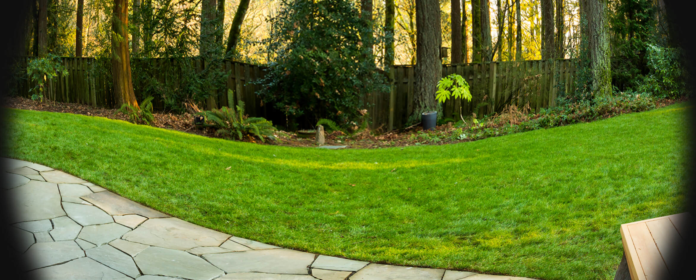 What Are The Best Outdoor Security Cameras What Are The Best Outdoor Security Cameras